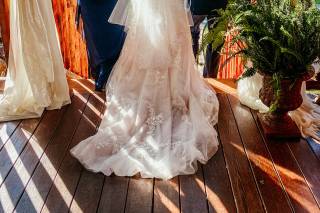 Ivory and Beau - 85