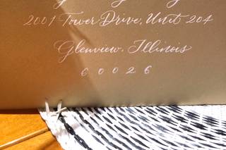 Calligraphy by CT - 10
