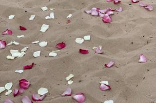 Dream Day Weddings - 21