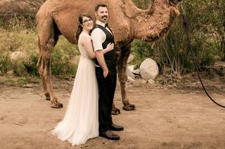 Weddings at Reptacular Animals Ranch in the Forest - 12
