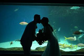 The Florida Aquarium - 20
