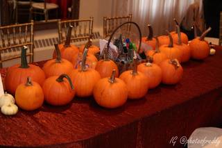Skylands Manor by Frungillo Caterers - 30