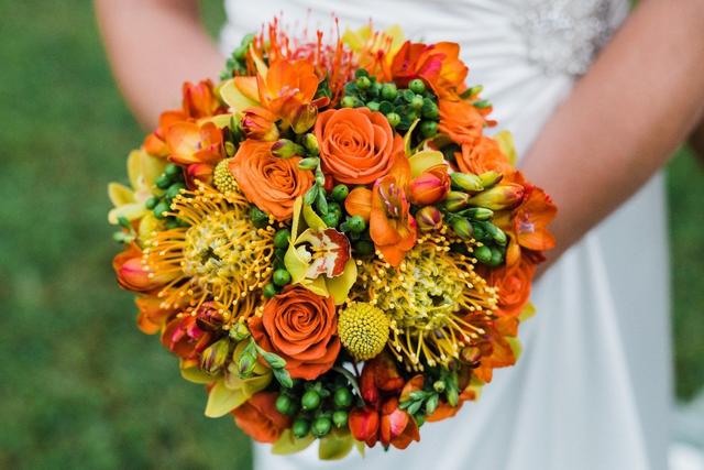 Sanddollars Floral - 4