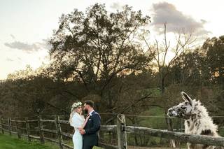Claxton Farm - 16