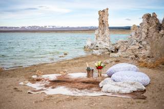 Green Fox Events & Guest Services - 26