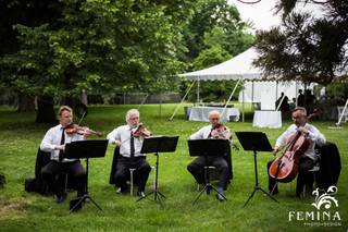 Art-Strings Ensembles 1
