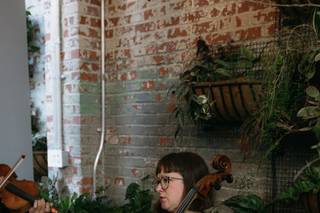 Tribute String Quartet - 9