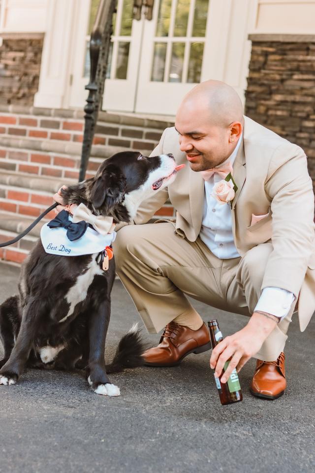 Happy Bark & Tails - 3