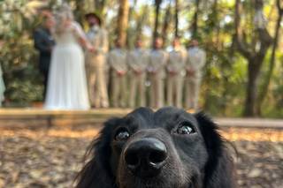 Florida Rustic Barn Weddings - 86