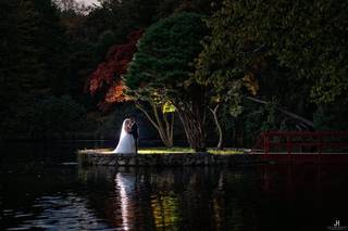 JHumphries Photography - 14