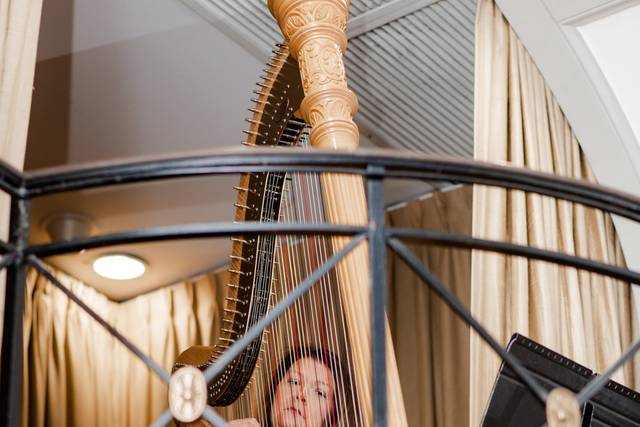 Melissa Tardiff Dvorak, Harpist 4