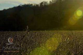 Creatively Captured Photography - 15