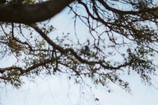 Infinite Focus Photography - 5