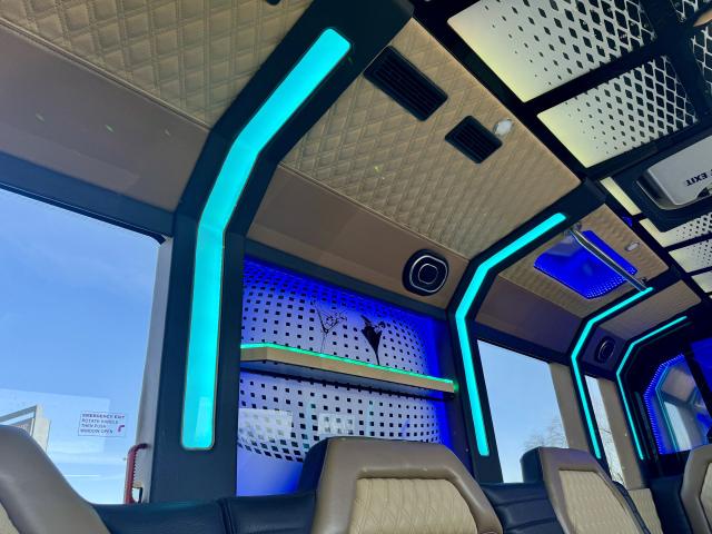 VIP Limousine, Inc. - 3