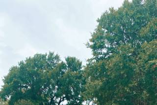 Harper Hill Ranch - 35