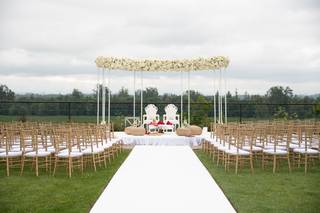 Black Swan Events - 14