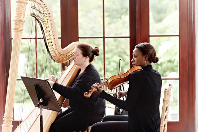 Melissa Tardiff Dvorak, Harpist - 1