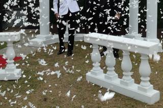 Let's Get Married Wedding Officiant - 24