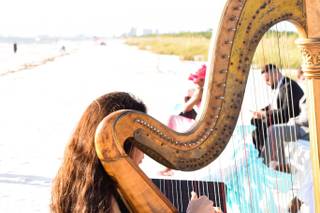 Jade Strings - 32