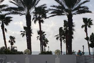 Wyndham Grand Clearwater Beach - 21