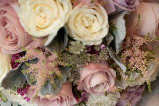 Jolie Images Photography & Video - 47