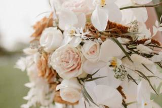 Kistner's Flowers - 29
