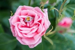 Focus on Joy Photography - 12