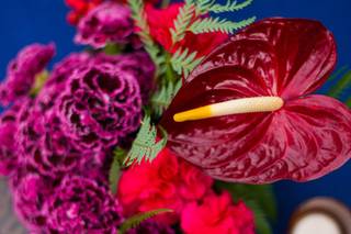 Bird Dog Wedding - 33