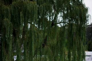 Pond View Farm - 31