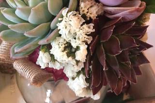Succulently Urban - 12