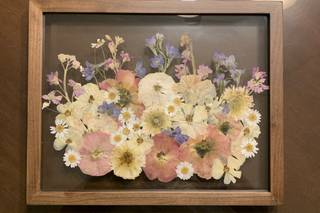White Poppy Preservation - 34
