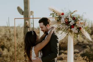 Ocotillo - 7