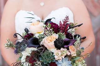 Alyssa Grace Photography - 15