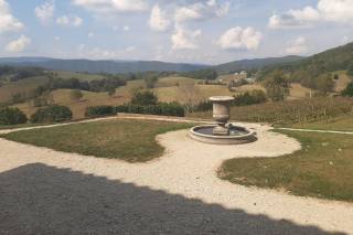 Villa Nove Vineyards - 4