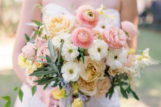 Greg Ross Photography - 21