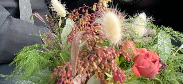 Apiana Blooms - 4