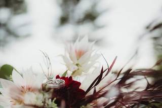 Inspired By Nature - 70