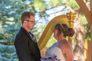 Tahoe Harpist - 5