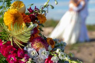 Heather Hanson Photography LLC - 12