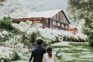 See Canyon Fruit Ranch - 21