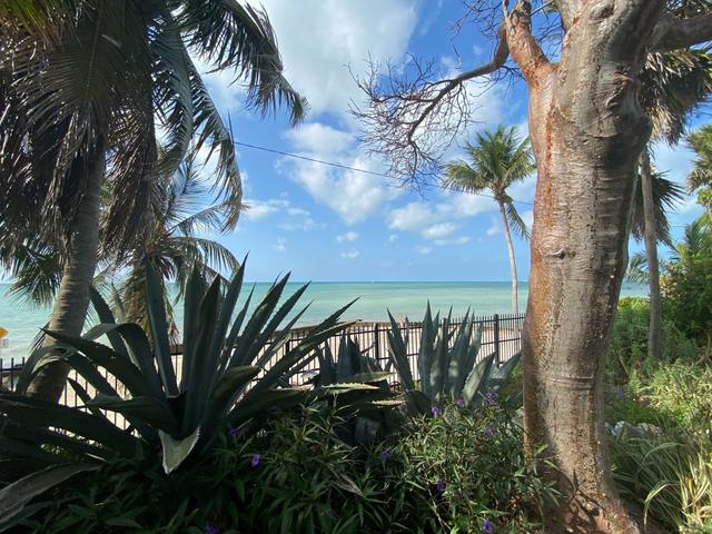 Key West Garden Club - 3