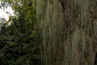 Airen Miller Photography - 29