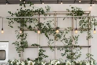 Project Floral - 23