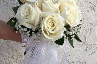 Flowers of Point Loma - 5
