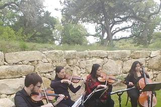 Cello Vida - 10
