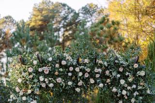 Meristem Floral - 17