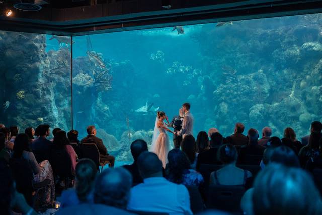 The Florida Aquarium 5