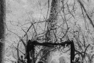 Suzanne Faye Photography - 9