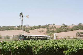 Zaca Mesa Winery - 30
