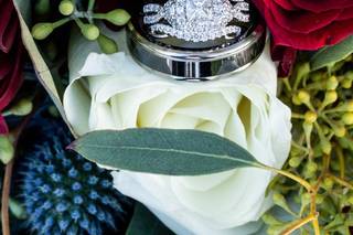 Living Radiant Photography - 55